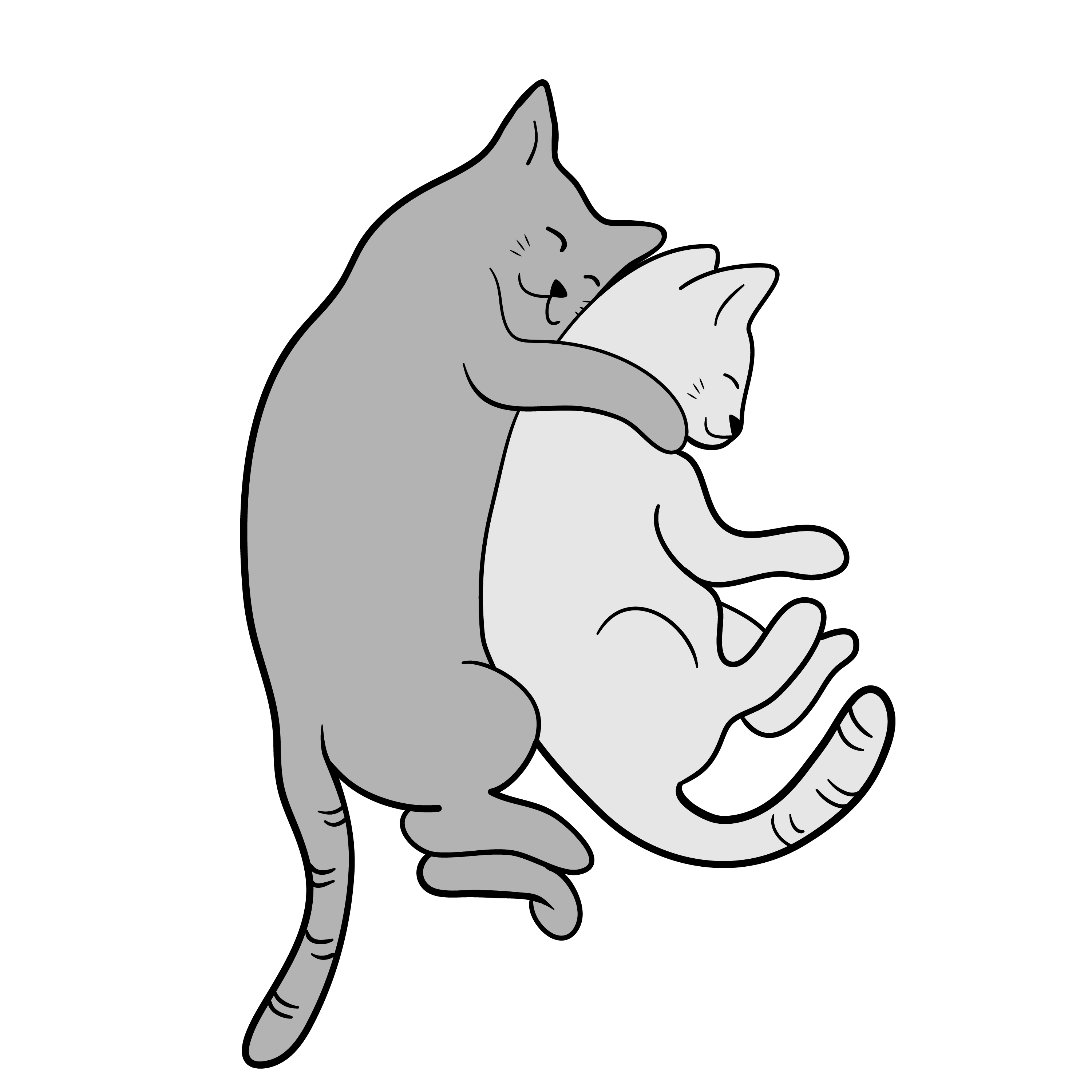 Коты
