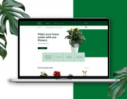 Интернет магазин для продажи цветов для дома