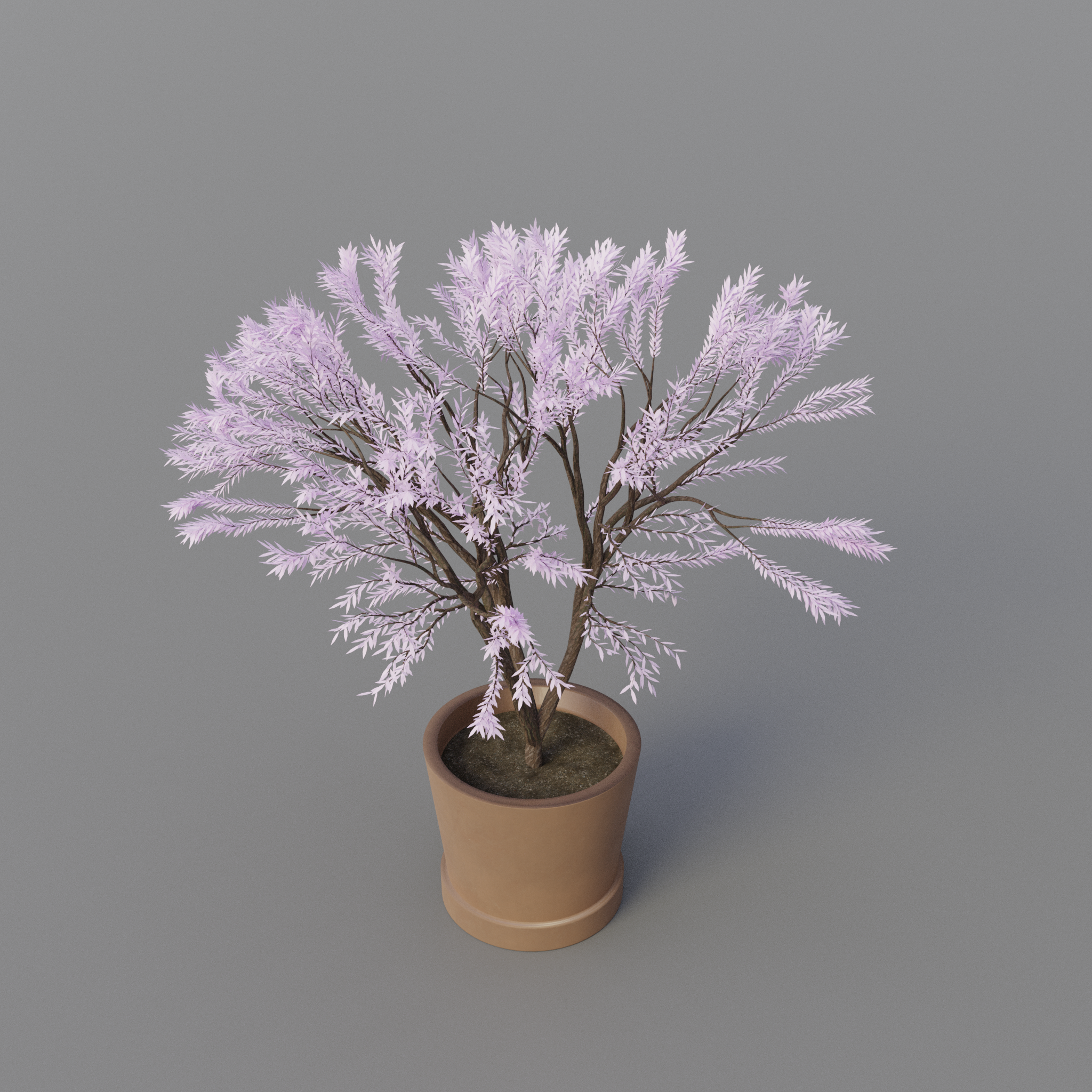 Japanese tree