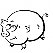 funny pig
