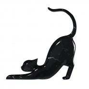 cat.png