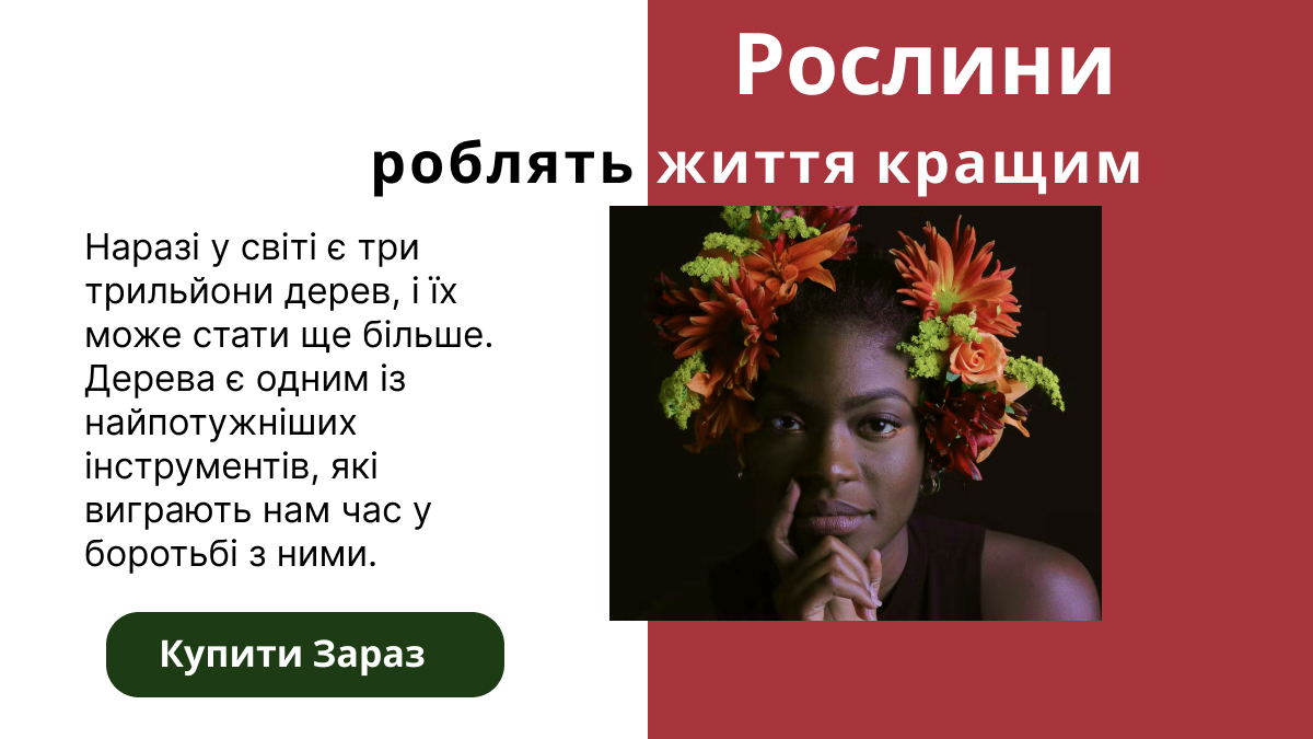 банер