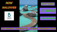THUMBNAILS-12