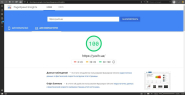 Оптимизация Google PageSpeed Insight