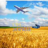 СФГ (1).png